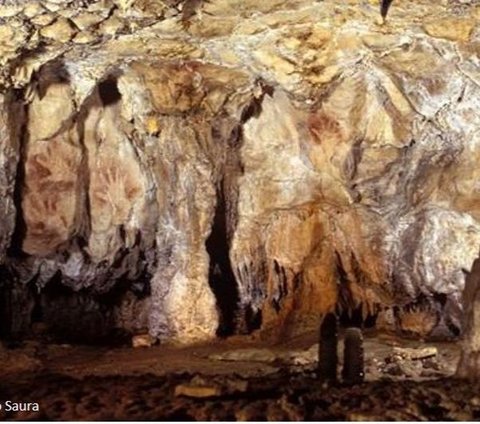 Excitement Over the Discovery of a Stone Age Human Habitat, Many Needles and Spears