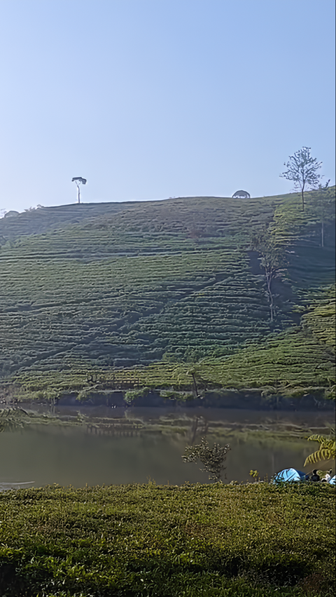 Daya Tarik Situ Datar Pangalengan untuk Liburan Akhir Tahun, Ngadem di Pinggir Danau yang Dikelilingi Kebun Teh