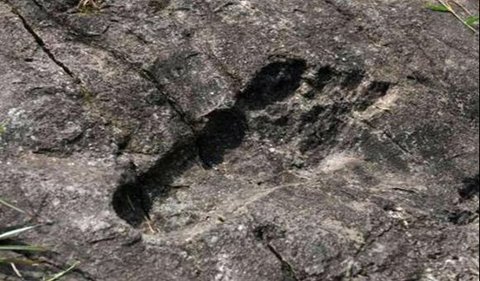 The disclosure of giant human footprints in Pingyan village, Guizhou province, southwestern China, has been a hot topic since August 2016. This finding was made by a group of photographers and has sparked various speculations about the origin and authenticity of the footprints.