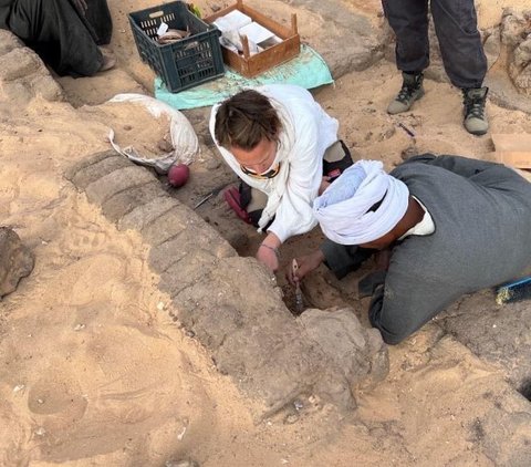 5,000-Year-Old Wine Found Intact in the Tomb of Egypt's First Queen