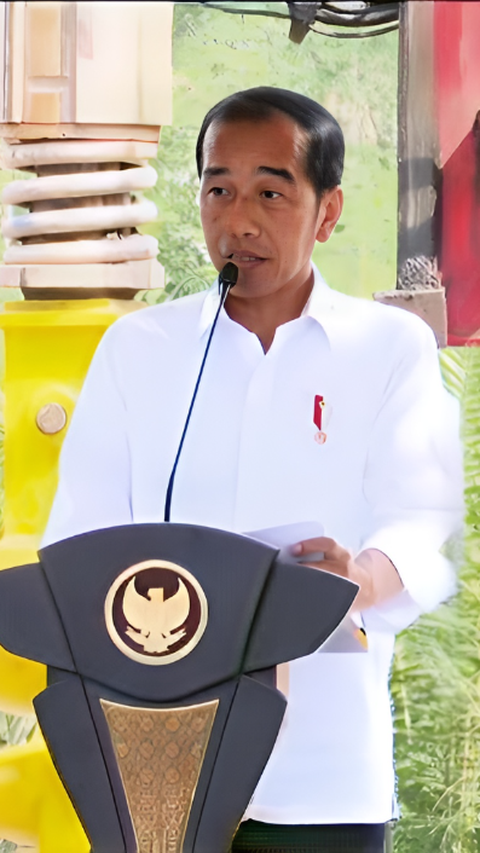 Jokowi Bakal Kenalkan Presiden Selanjutnya ke MBZ dan MBS