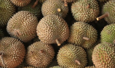 Apa saja makanan yang tidak disarankan dikonsumsi bersama dengan durian?