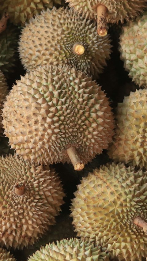 Penderita diabetes sebaiknya membatasi konsumsi durian dan menghindari makanan manis setelah mengonsumsi durian.