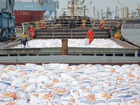 Beware, 500 Thousand Tons of Thai Rice to Pakistan Entering Indonesia in January 2024