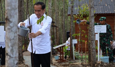 Presiden Jokowi Turut Tinjau Lokasi