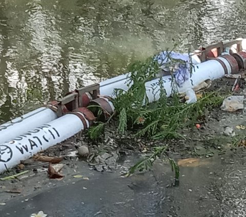 Jasad Bayi Ditemukan Tersangkut Jaring Sampah di Sungai Denpasar