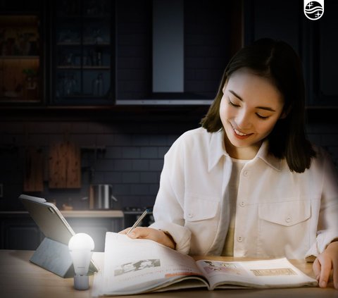 Signify Reveals Online Consumer Interest in Lighting Products During 2023, Energy-saving LED Lights Increasingly Popular