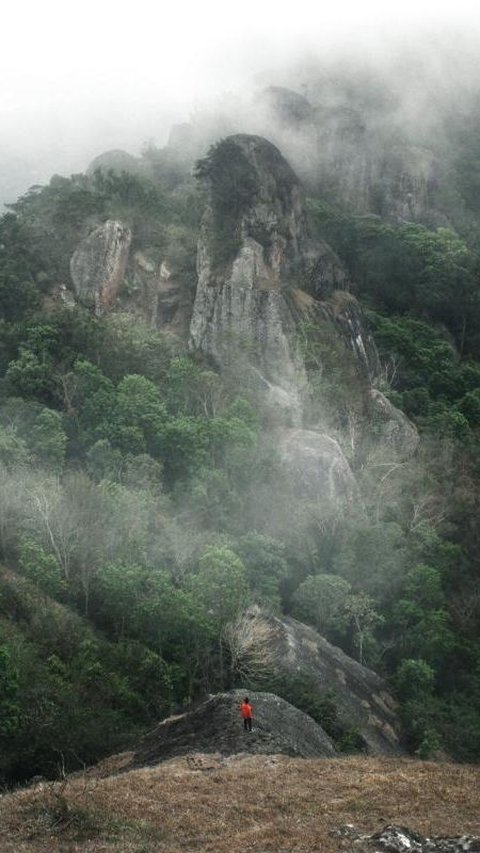 Potret Indah Kawasan Bentang Alam Karst Gunungkidul, Kekayaan Alam yang Terancam Ambisi Pariwisata