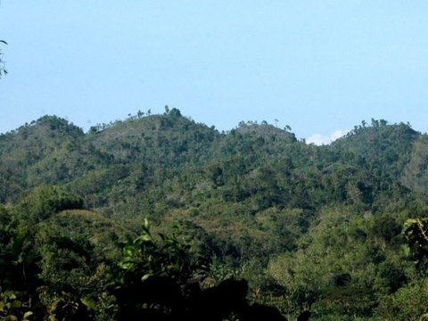 Geopark Gunung Sewu