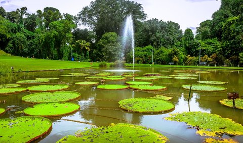 1. Kebun Raya Bogor