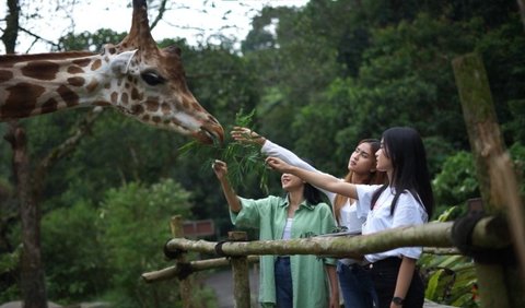 3. Taman Safari Bogor