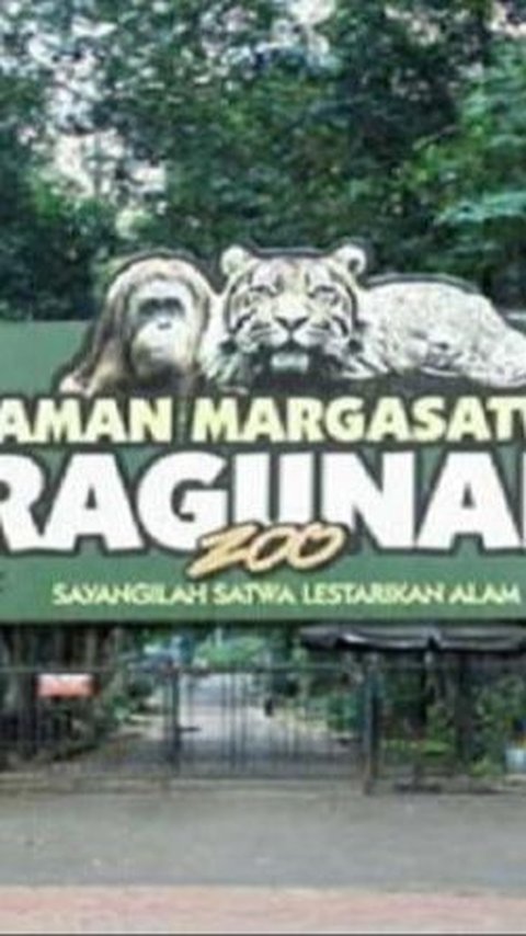 Tempat ini menarik pengunjung dari segala usia, memberikan kesempatan untuk belajar tentang hewan, habitatnya, dan pentingnya melestarikan keanekaragaman ekosistem bumi.