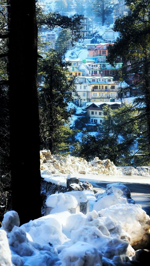 Shimla Stock Photos, Royalty Free Shimla Images | Depositphotos