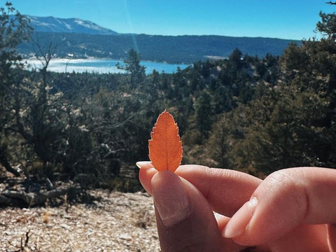 10 Foto Keseruan Maudy Ayunda Hiking Bareng dengan Keluarga Jesse Choi di Amerika Serikat, Potret Cantiknya Curi Perhatian