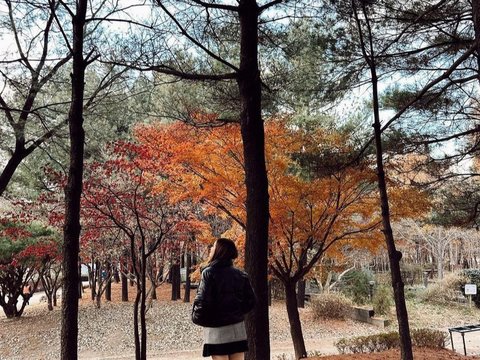Cantik! 10 Gaya Syifa Hadju saat Jalan-jalan di Korea Selatan, Netizen 'Bening Banget'