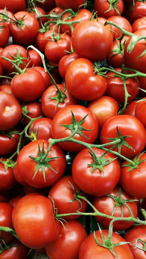 Jus tomat yang dihasilkan dari perasan tomat segar bukan hanya mampu menyegarkan tenggorokan, namun juga mengandung sejumlah manfaat kesehatan yang luar biasa. Kaya akan nutrisi dan senyawa antioksidan, jus tomat telah lama diakui sebagai minuman yang mendukung kesehatan tubuh secara menyeluruh.