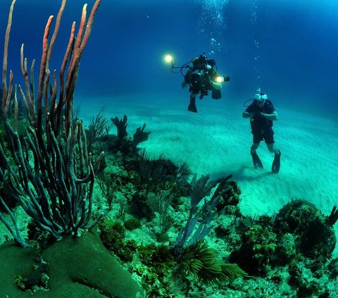 Dengan kata lain, konsentrasi molibdenum yang lebih tinggi dapat dikorelasikan dengan jumlah hidrogen sulfida yang lebih tinggi di laut.