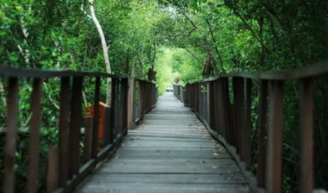 Banyuurip Mangrove Centre