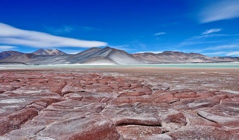 5. Gurun Atacama