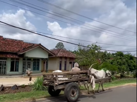 Kisah Unik Desa Sinar Bandung di Lampung, Warganya 90% Sunda dan Pendukung Setia Persib