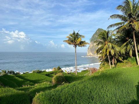 Pesona Pantai Pangasan di Pacitan, Ada Hamparan Sawah yang Manjakan Mata