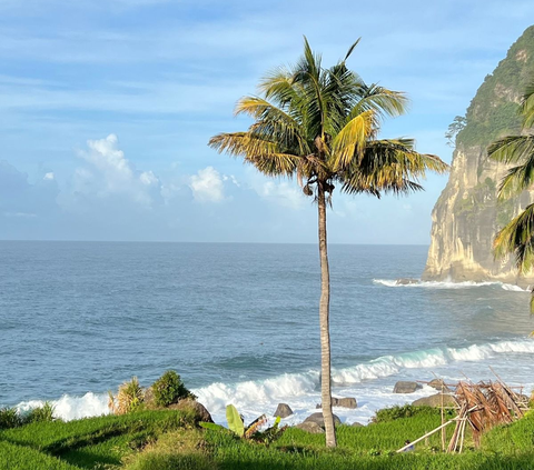 Pesona Pantai Pangasan di Pacitan, Ada Hamparan Sawah yang Manjakan Mata