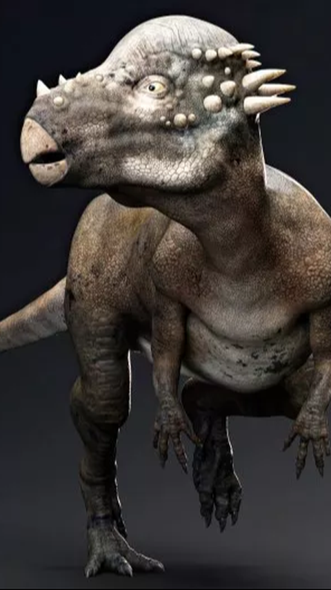 Dua Spesies Baru Dinosaurus Ditemukan, Kepalanya Berbentuk Kubah dan Banyak Tonjolan Tajam