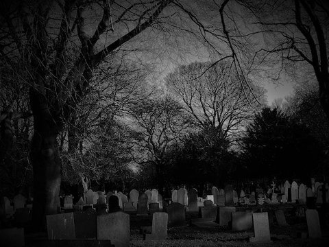 5 Haunted Places in Bangalore That Would Surely Make You Feel Scared ...