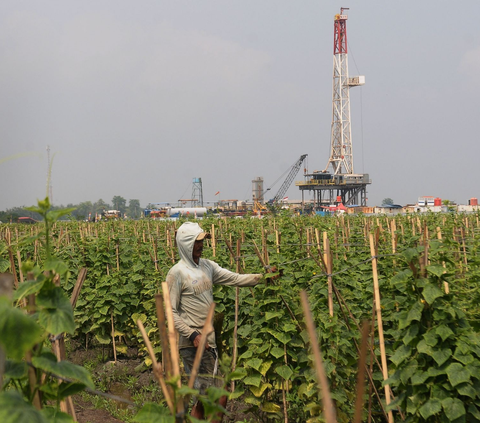 FOTO: Penampakan Lokasi Cadangan Minyak dan Gas yang Ditemukan Pertamina di Bekasi