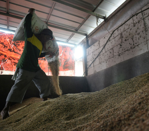 Pekerja menggiling gabah kering di tempat penggilingan beras  PD. Ahmad Azam di Desa Sukamaju, Kecamatan Tambelang, Kabupaten Bekasi, Jawa Barat, Kamis (28/12/2023).