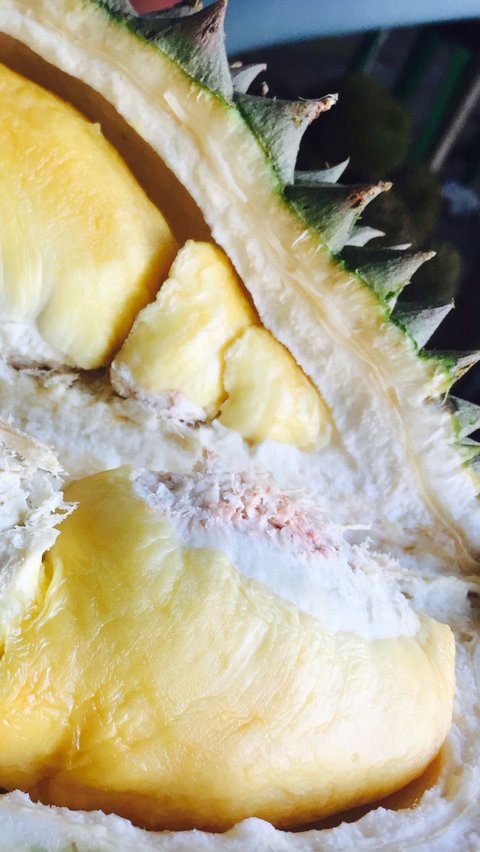 <b>Efek Samping Ibu Menyusui Makan Durian</b>