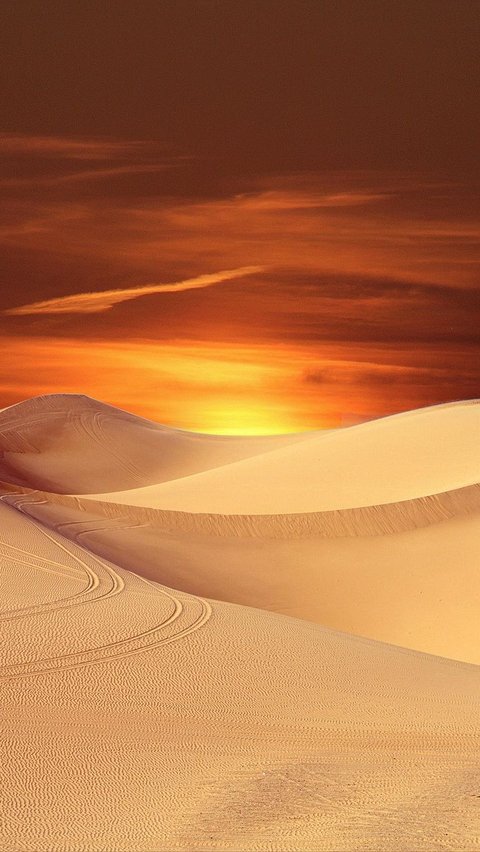 Famous Hot and Arid, Nights in the Sahara Desert Turn Out to be Very Cold!