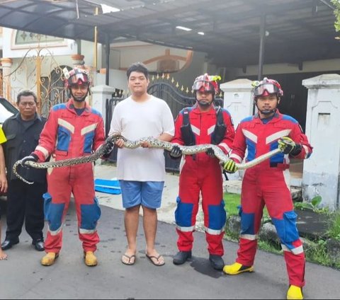 Ngeri Banget, Damkar Jakarta Utara Evakuasi Sanca di Unit AC Outdoor Rumah Warga