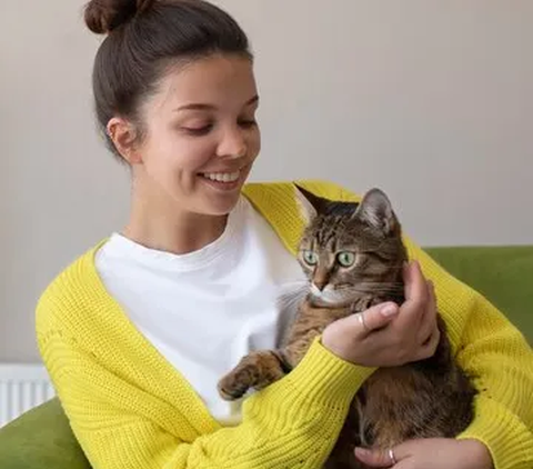 Berkenalan dengan Muezza, Kucing Istimewa dalam Agama Islam