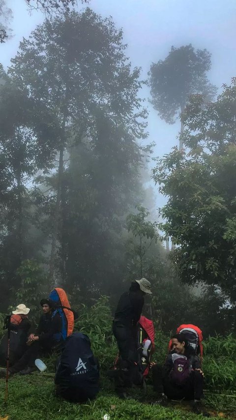 Medannya Sulit Ditaklukkan, Ini Fakta Menarik Gunung Bandahara di Provinsi Aceh<br>