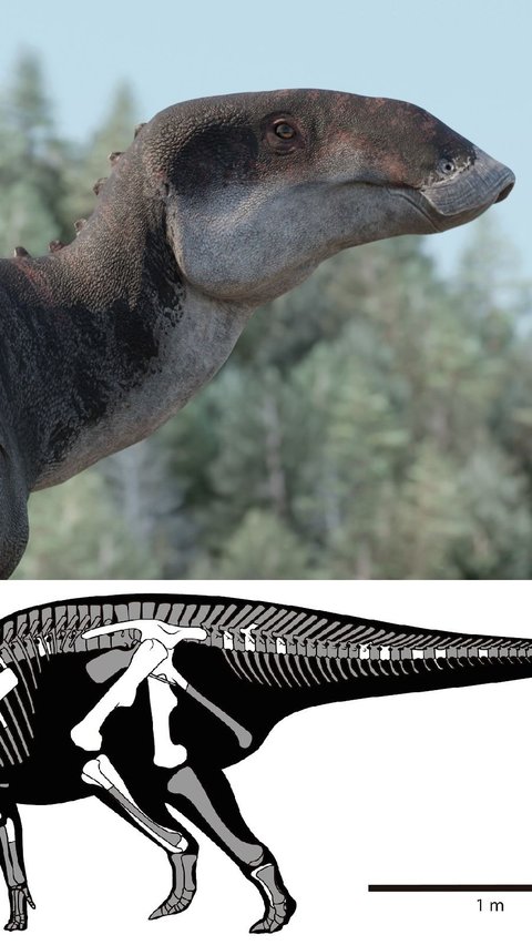 7. Penemuan Dinosaurus Selatan Baru<br>