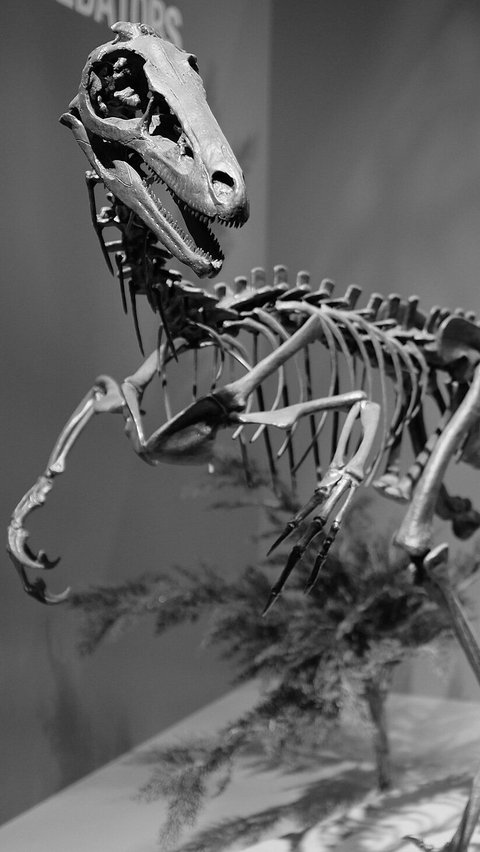 3. Dinosaurus Penggemar Tumbuhan yang Punya ‘Tampang’ Menyeramkan<br>