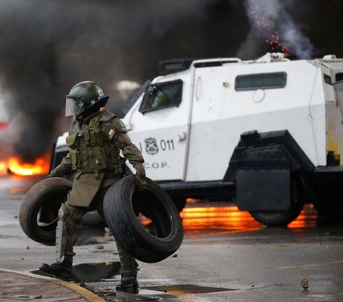 FOTO: Momen Singa Laut Turun ke Jalan Saat Demo Nelayan di Chile, Ikut Hadang Mobil Polisi