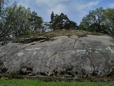 Discovery of 40 Ancient Petroglyphs 2,700 Years Old, Turns Out They've Been Buried Under Thick Moss All This Time