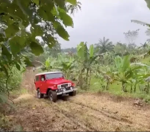 Penampilan Keren Menteri Jokowi Pergi ke Kebun, Naik Mobil Hardtop Tua Lewati Jalanan Licin