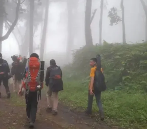 6 Dari 29 Pendaki asal Riau Masih Terjebak di Gunung Marapi