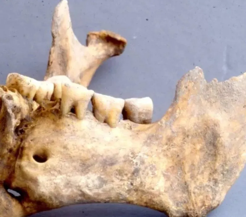 Peneliti Kaget Ada Kandungan Ganja dalam Fosil Manusia yang Terkubur 300 Tahun