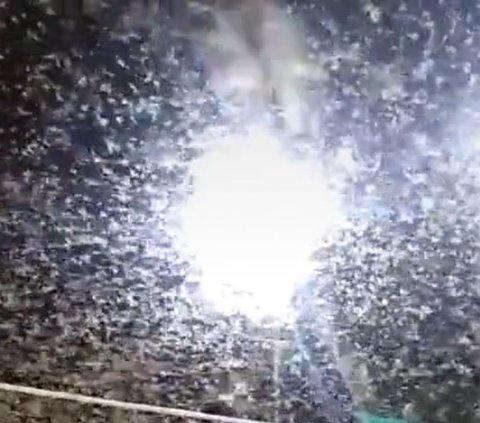 No Effect, These Dads Still Play Volleyball Despite Being Swarmed by Thousands of Flies