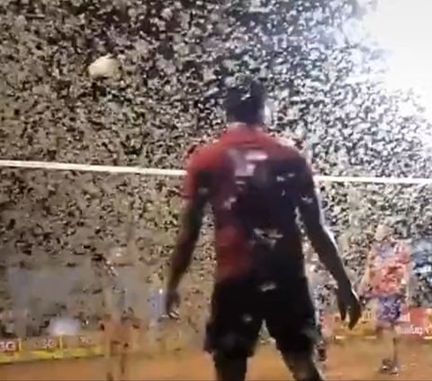 No Effect, These Dads Still Play Volleyball Despite Being Swarmed by Thousands of Flies