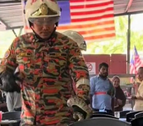 Visitors in Awe as a Large Snake Hangs from the Roof of a Stall, Firefighters' Casual Actions in Capturing it Become the Spotlight