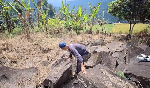 Batunya memiliki lubang pori-pori