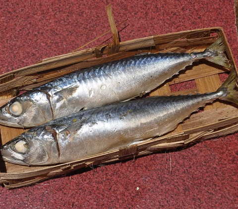 Lebih Sehat dari Salmon, Ini 7 Manfaat Kesehatan Ikan Kembung