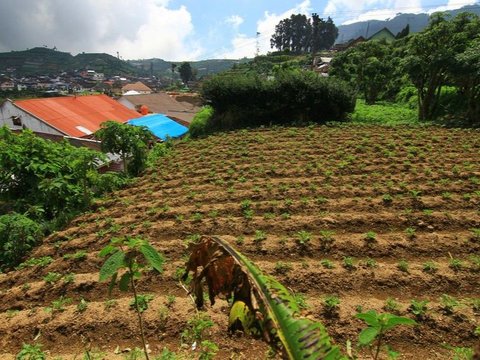 Menguak Fakta Situs Watu Kelir, Pintu Gerbang Menuju Kompleks Percandian Dieng