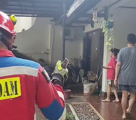 Viral Ular Sanca Sembunyi di Unit AC Outdoor Rumah Warga, Proses Evakuasi Bikin Ngeri