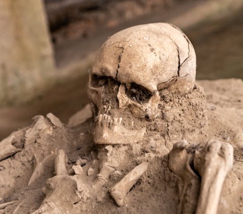 Shocking! Researchers Find Marijuana Content in Human Fossils Buried 300 Years Ago